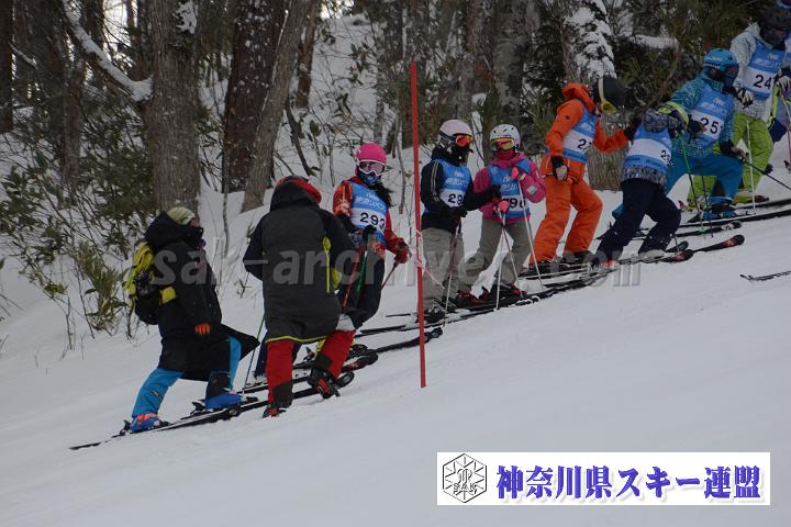 20190126_085929_0.jpg