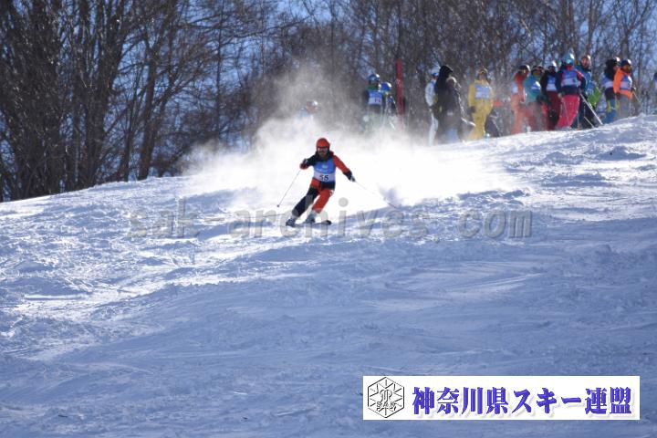 20190127_115957_2.jpg