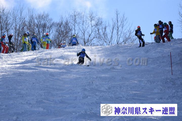 20190127_120034_0.jpg
