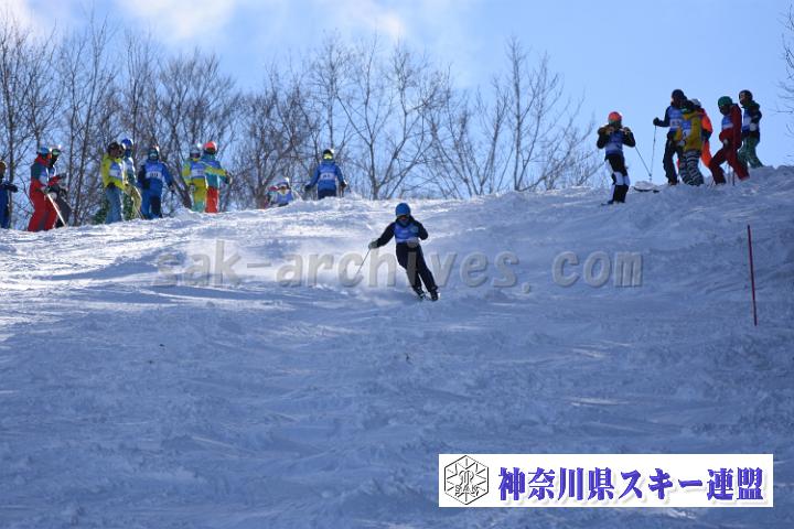 20190127_120034_3.jpg