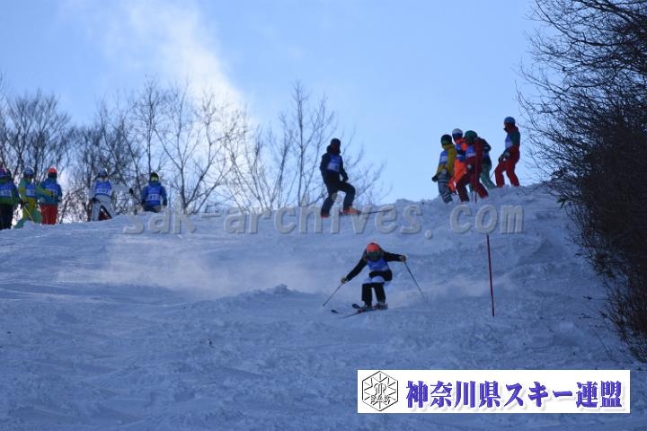 20190127_120117_4.jpg