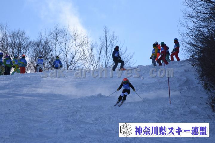 20190127_120117_5.jpg