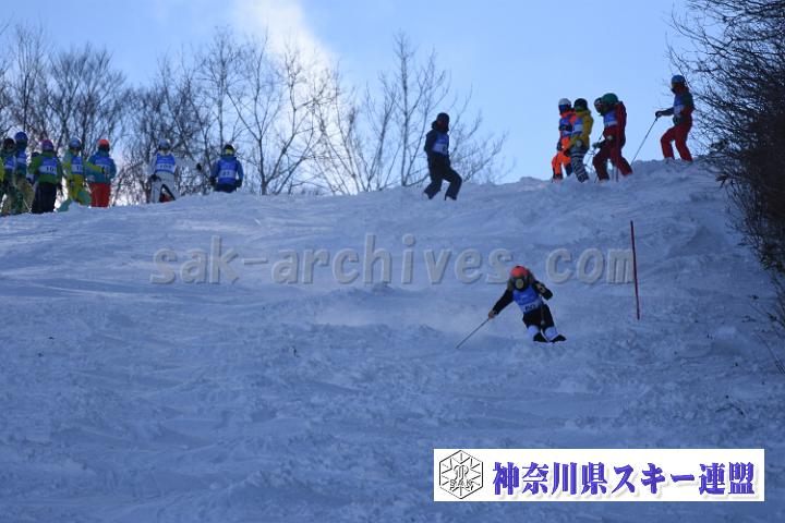20190127_120119_0.jpg