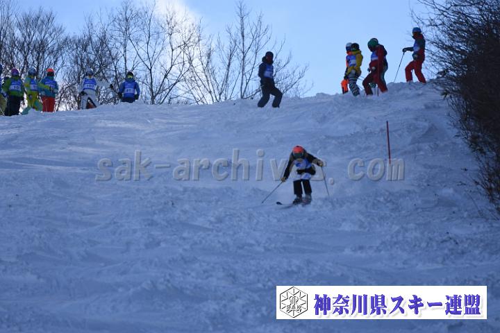 20190127_120119_2.jpg