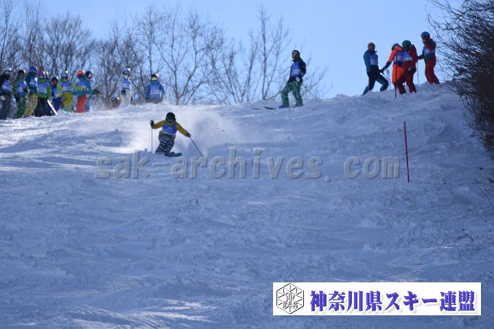 20190127_120241_1.jpg