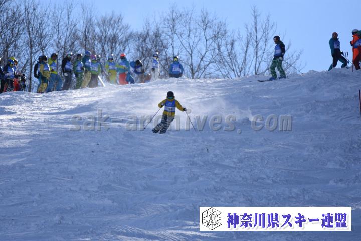 20190127_120243_1.jpg