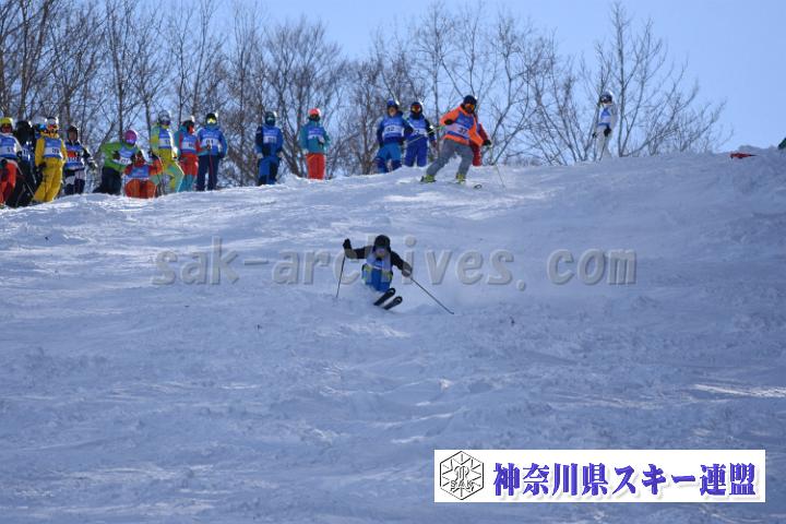 20190127_121257_1.jpg