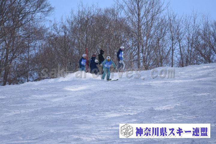 20190127_124045_3.jpg