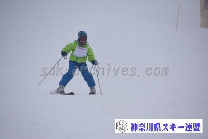 190216_130737_0.jpg