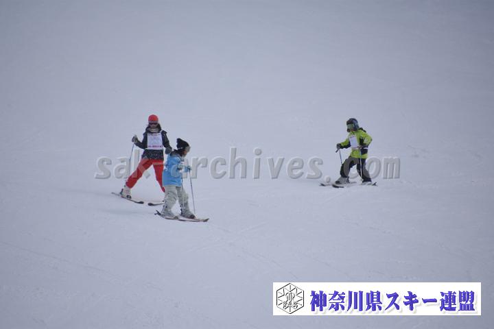 190216_145411_0.jpg