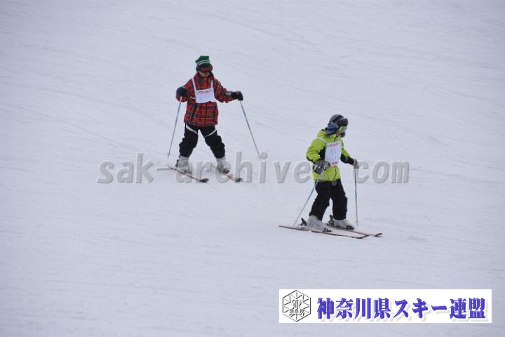 190216_145510_0.jpg