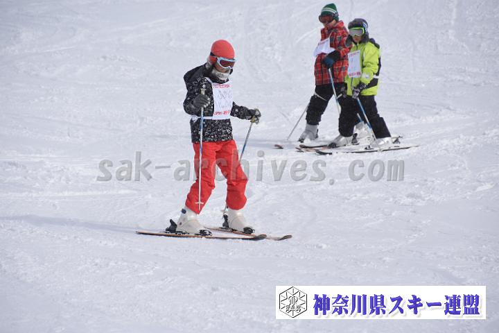 190216_145702_0.jpg