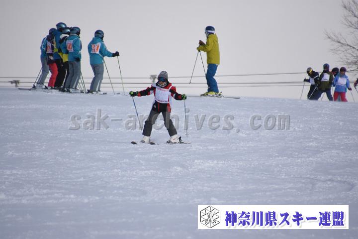 190216_154034_0.jpg