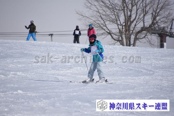 190216_154223_0.jpg