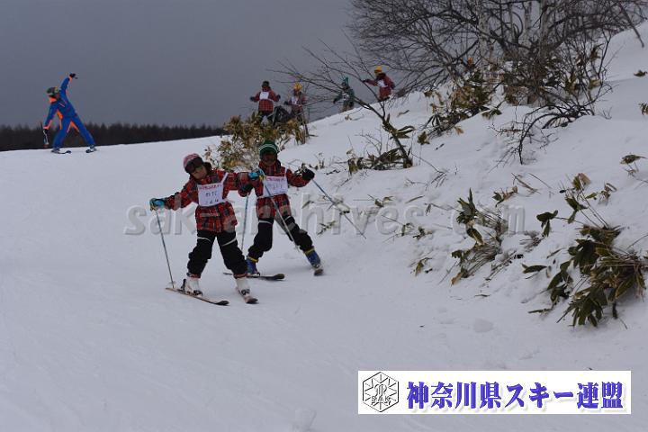 190216_161445_0.jpg