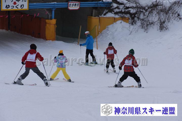 190216_162430_0.jpg