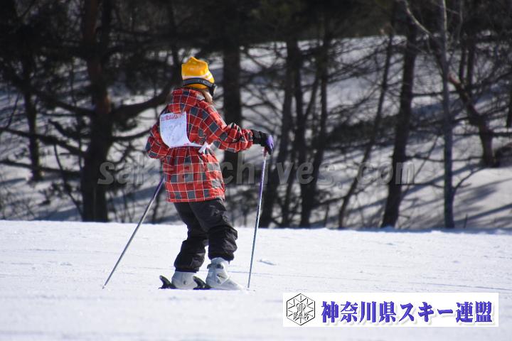 190217_092721_0.jpg