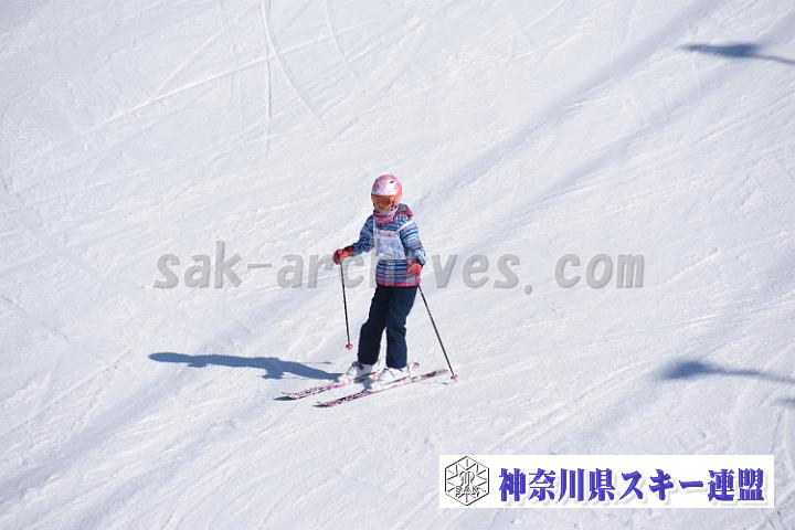 190217_094518_0.jpg