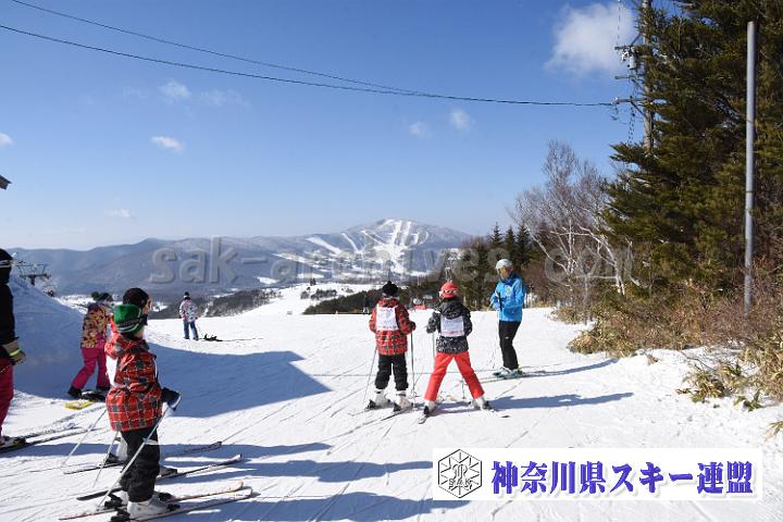190217_094639_0.jpg