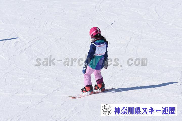 190217_102720_0.jpg