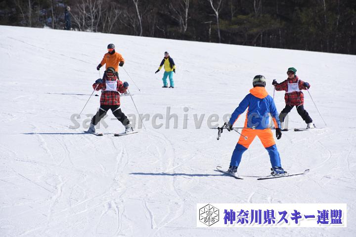 190217_102933_1.jpg