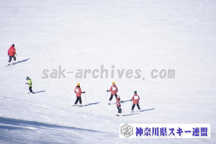 190217_103151_0.jpg