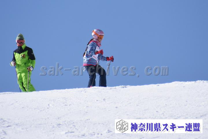 190217_110132_0.jpg