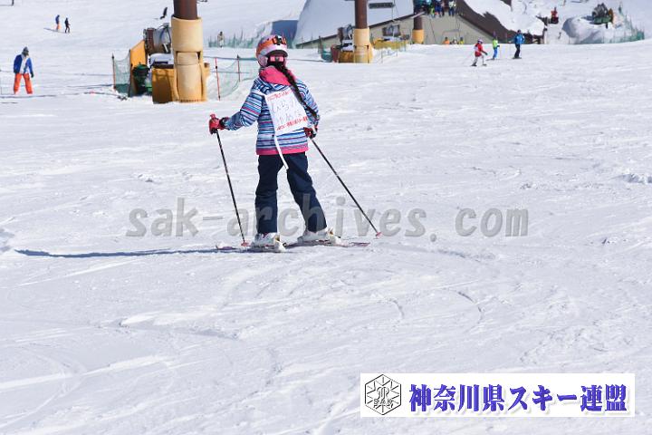190217_110530_0.jpg