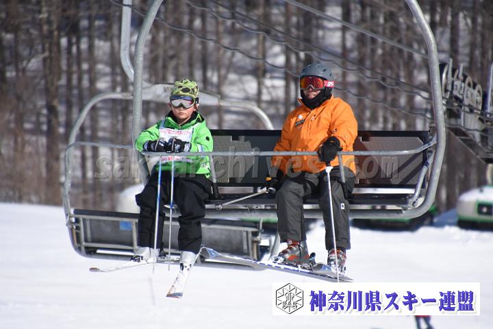 190217_110741_0.jpg