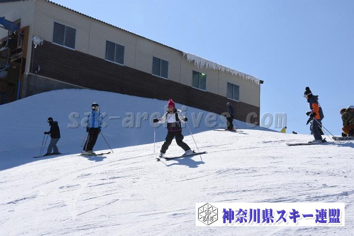 190217_111343_0.jpg