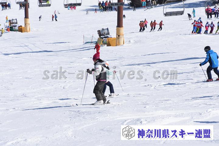 190217_111416_2.jpg