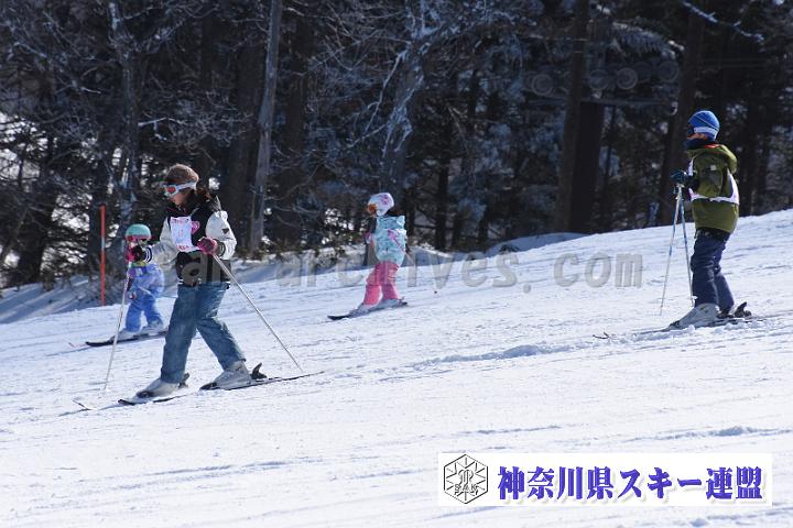 190217_111851_0.jpg