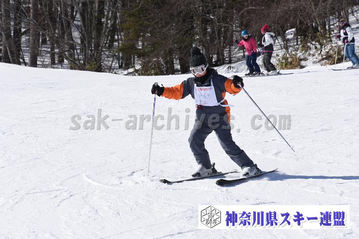 190217_112246_1.jpg