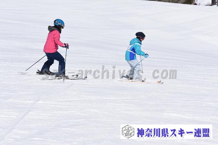190217_112717_0.jpg