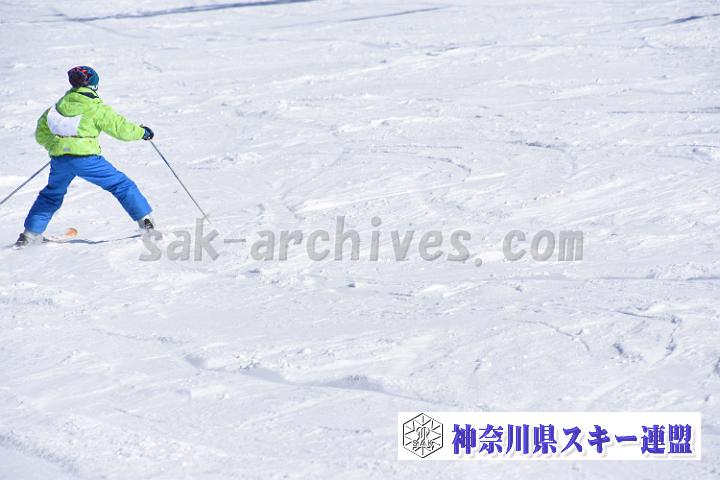 190217_115102_2.jpg