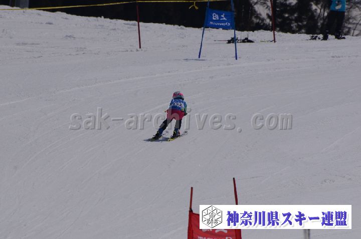 190302_113839_2.jpg