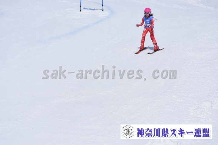 190302_113955_0.jpg