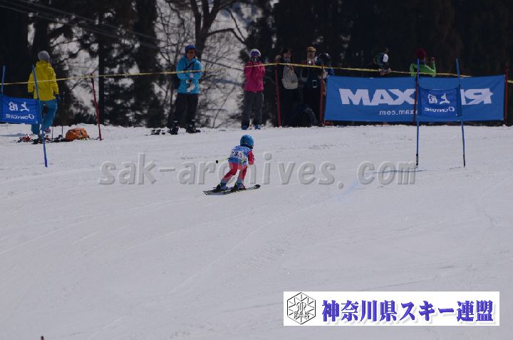 190302_114044_1.jpg
