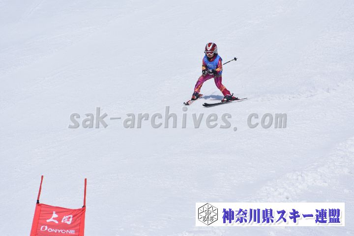 190302_114120_0.jpg