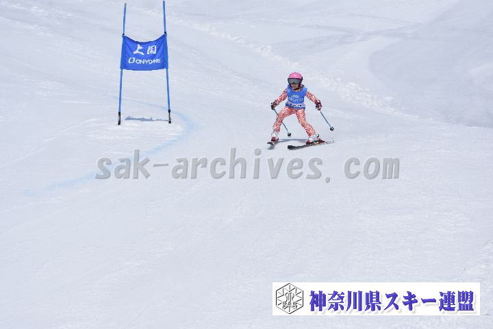 190302_114159_0.jpg