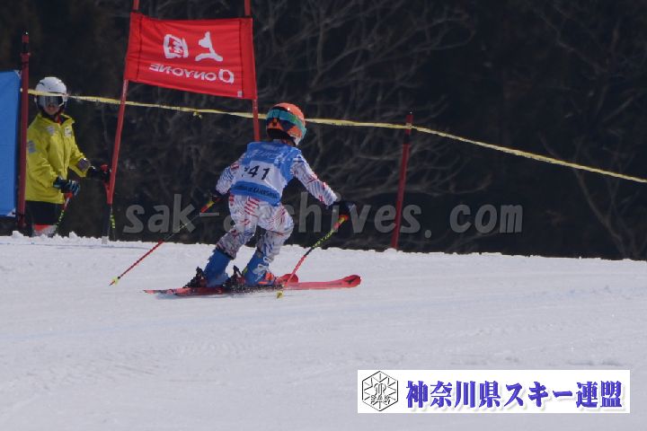 190302_114451_0.jpg