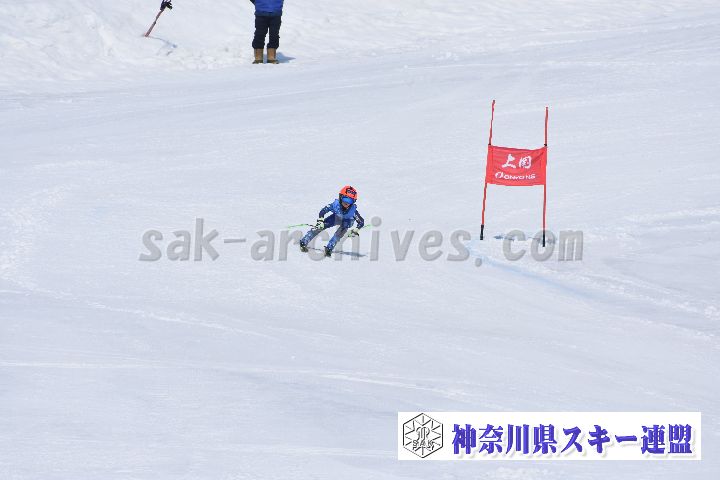 190302_114506_0.jpg