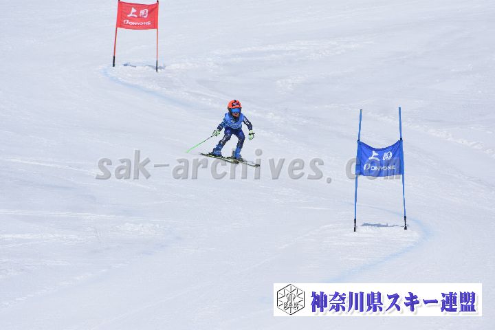 190302_114507_0.jpg