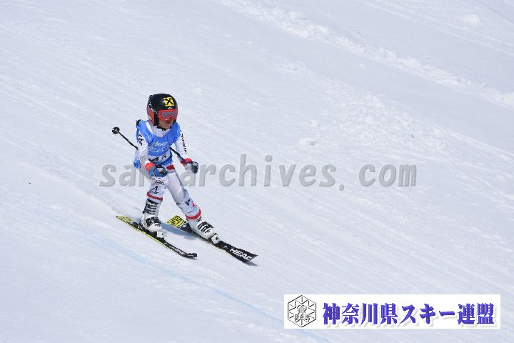 190302_114718_0.jpg