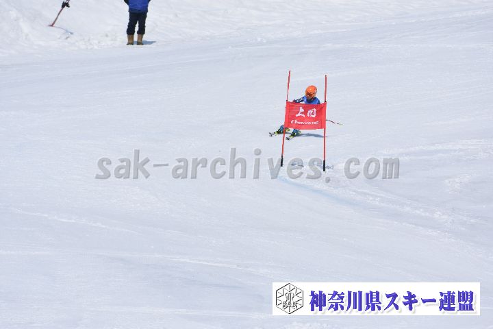 190302_114745_0.jpg