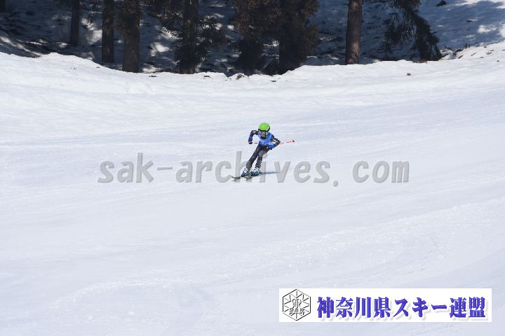 190302_114948_0.jpg