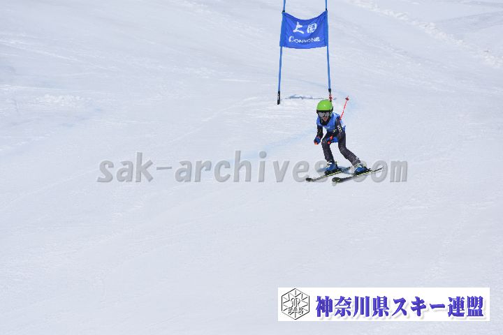 190302_114953_0.jpg