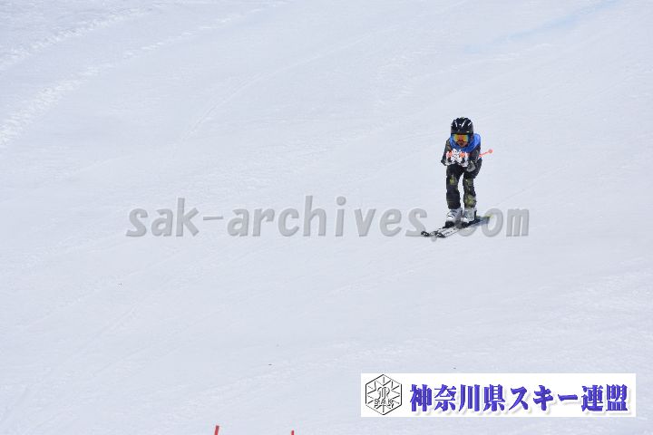 190302_115104_1.jpg