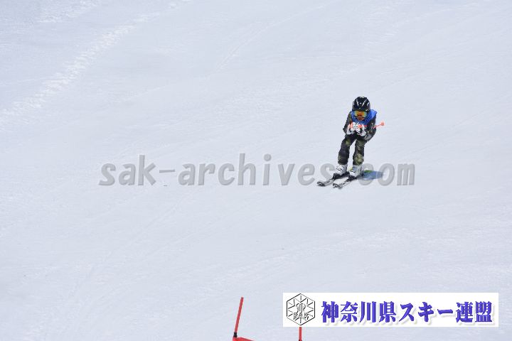 190302_115104_2.jpg