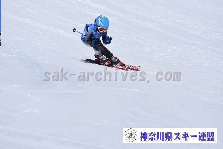 190302_115235_0.jpg